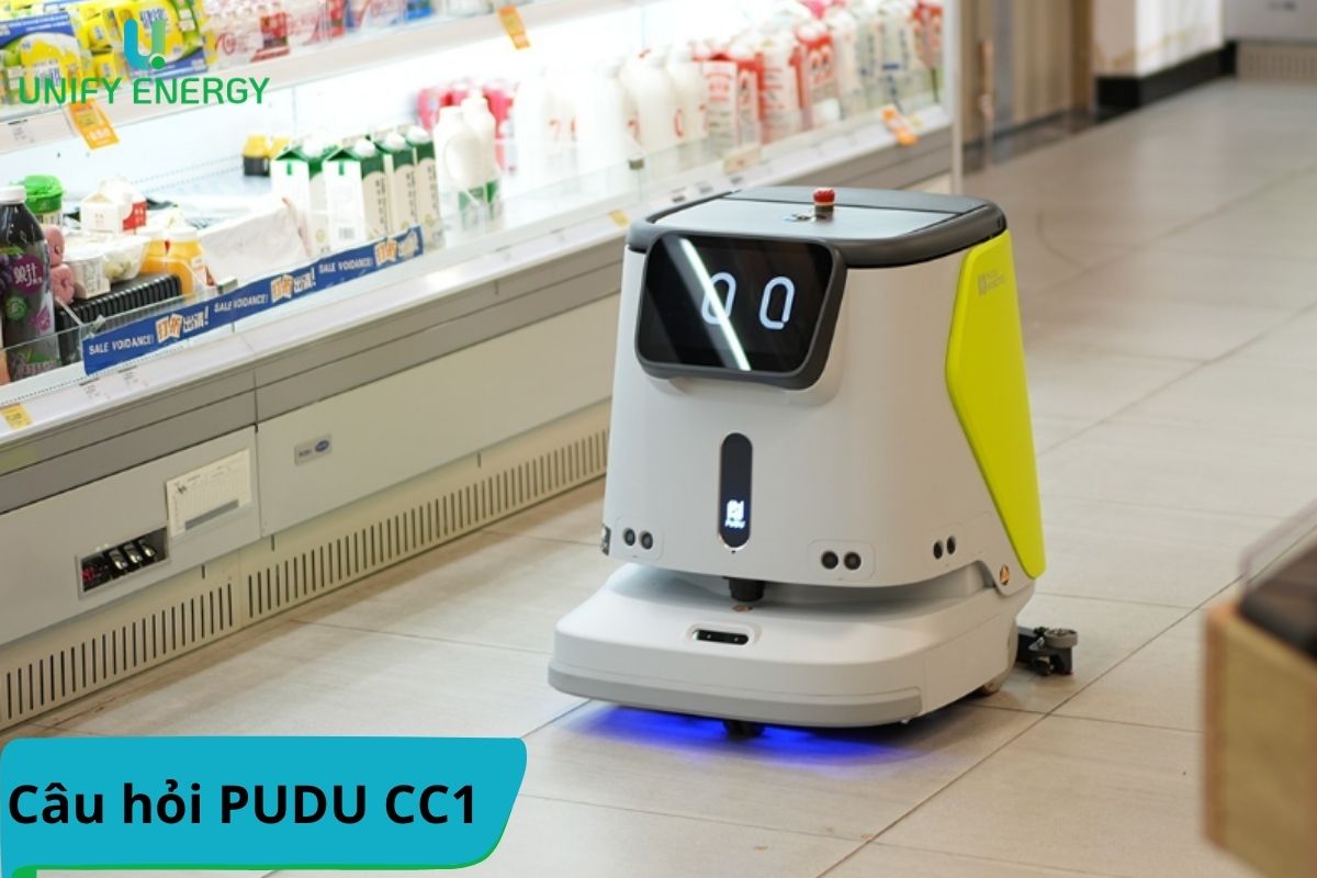 Tổng hợp các câu hỏi